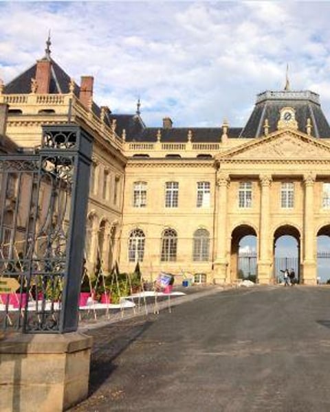 Château Des Lumières de Luneville