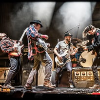 Neil Young, Neil Young and the Chrome Hearts