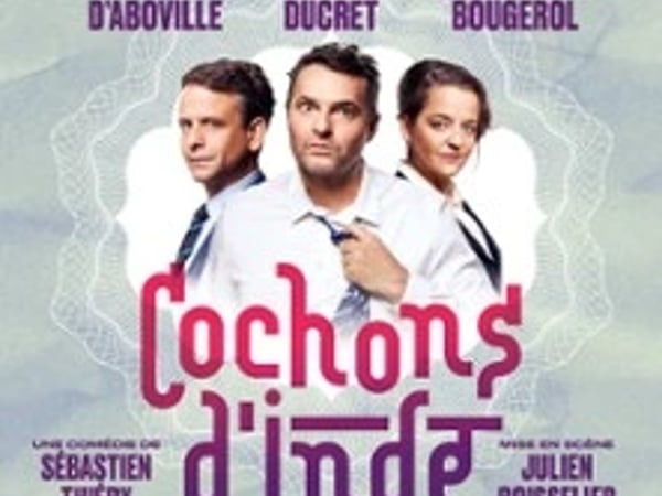Cochons d'Inde