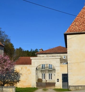 Visite guidée du château de Bicqueley