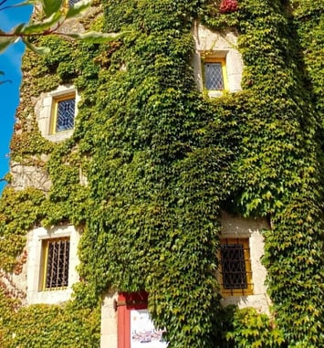 Visite libre et commentée du Manoir de Sexey aux Forges
