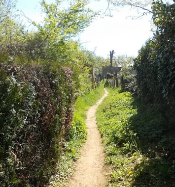 Balade Nature