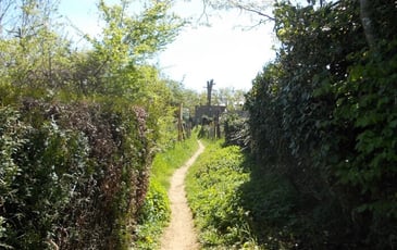 Balade Nature