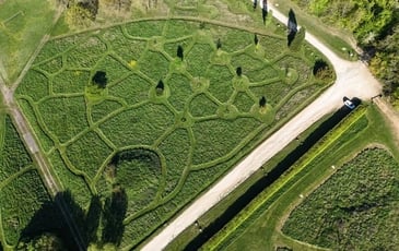 Découverte du Plateau de l'Avant-Garde