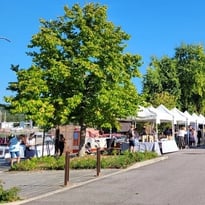 Animations au port de Champigneulles