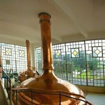 Démonstration de brassage au sein du musée
