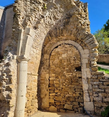 Visite du site et des vestiges de l'abbaye Sainte-Marie