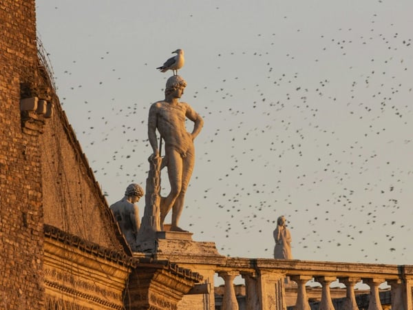 Roman Empire (j'essaie d'apprendre à vivre avec la peur)
