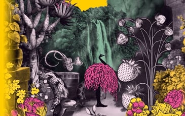 Candide