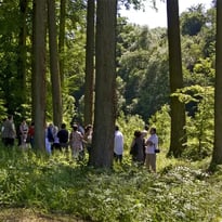 Les Arbres Fabuleux : promenade découverte dans le parc du Prieuré