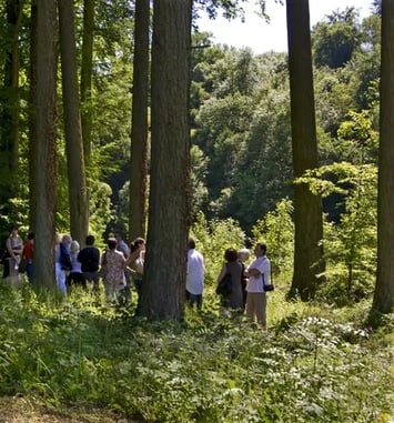 Les Arbres Fabuleux : promenade découverte dans le parc du Prieuré