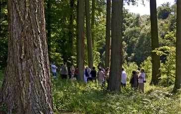 Les Arbres Fabuleux : promenade découverte dans le parc du Prieuré