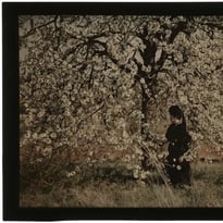 Visite flash « Les autochromes de Julien Gérardin »