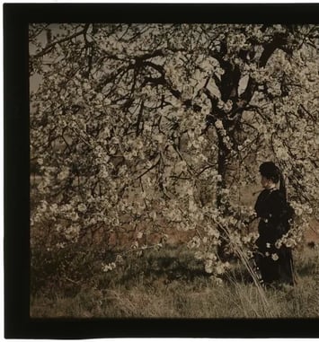 Visite flash « Les autochromes de Julien Gérardin »