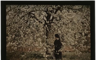 Visite flash « Les autochromes de Julien Gérardin »