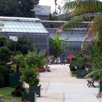 Visite guidée du jardin botanique labellisé Jardin remarquable