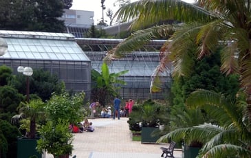 Visite guidée du jardin botanique labellisé Jardin remarquable