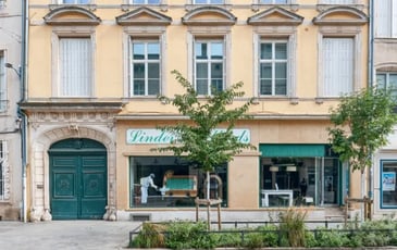 Les hôtels particuliers de la ville neuve de Nancy