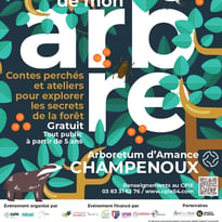 Du haut de mon arbre