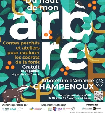 Du haut de mon arbre