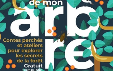 Du haut de mon arbre