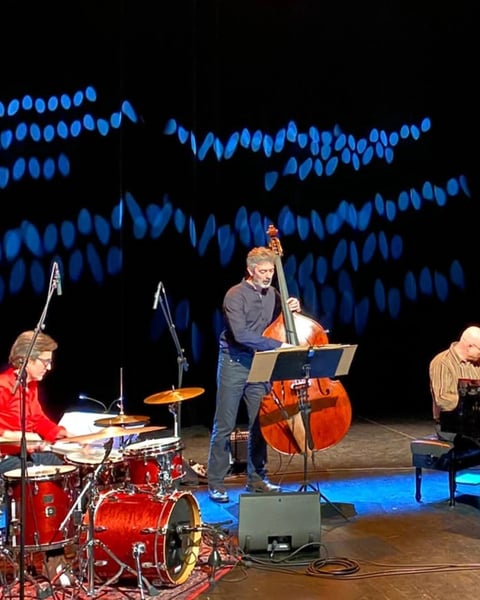 Concert - Americanas