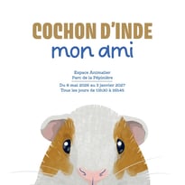 Exposition - Cochon d'inde, mon ami