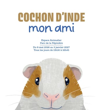 Exposition - Cochon d'inde, mon ami