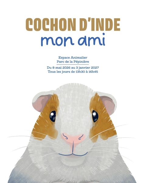 Exposition - Cochon d'inde, mon ami