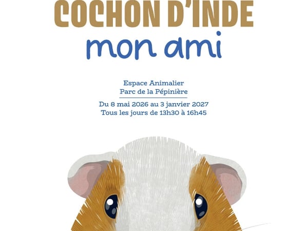 Exposition - Cochon d'inde, mon ami