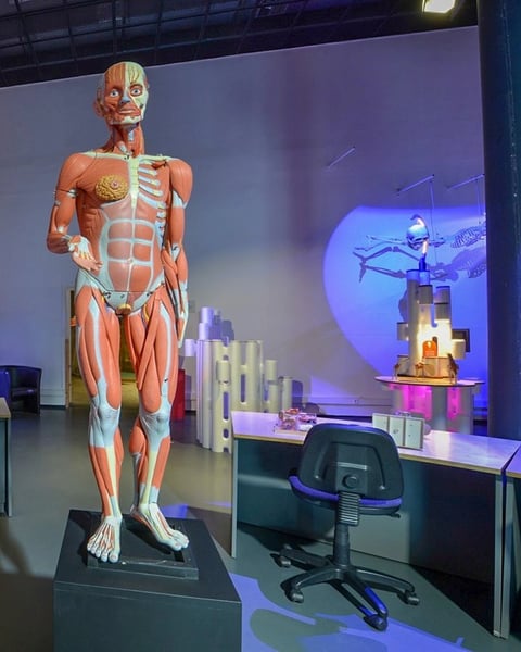 Exposition - Mission corps humain