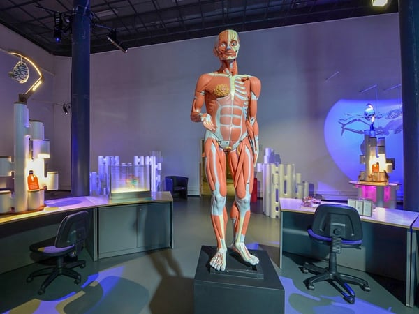 Exposition - Mission corps humain