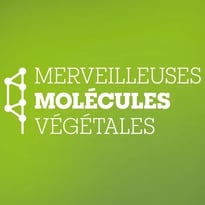 Exposition - Merveilleuses molécules végétales
