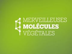 Villers-lès-Nancy