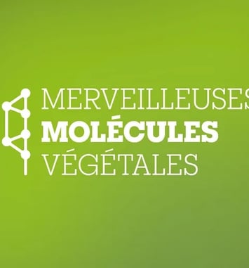 Exposition - Merveilleuses molécules végétales