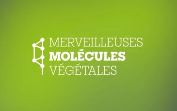 Exposition - Merveilleuses molécules végétales