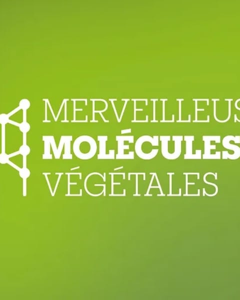 Exposition - Merveilleuses molécules végétales