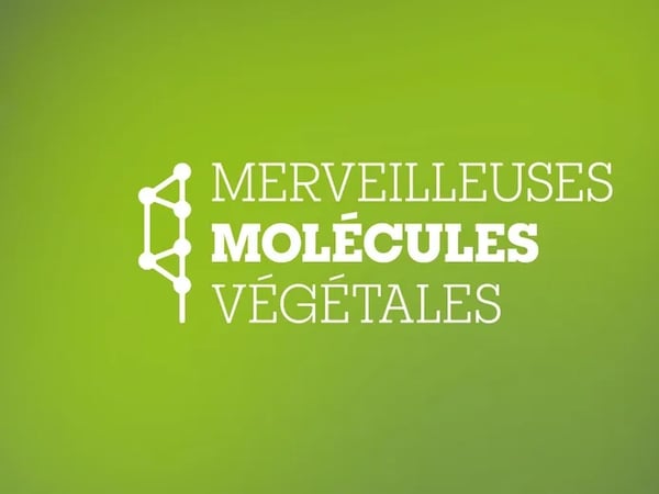 Exposition - Merveilleuses molécules végétales