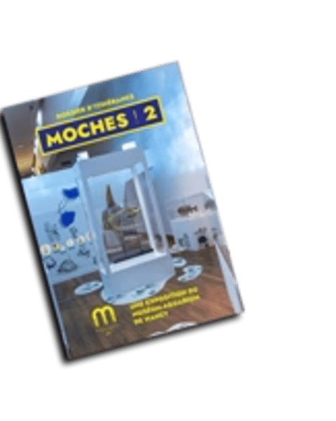 Exposition - Moches ! - 2