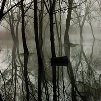 Cité des paysages - Moselle sauvage