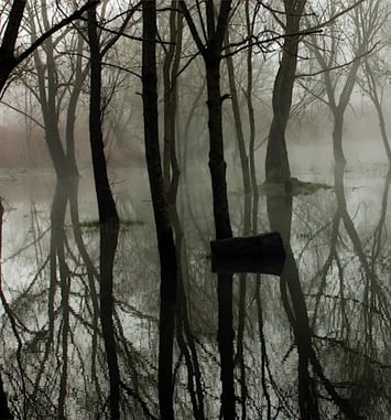 Cité des paysages - Moselle sauvage