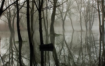 Cité des paysages - Moselle sauvage