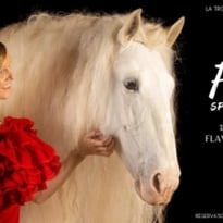 Spectacle équestre : Femmes