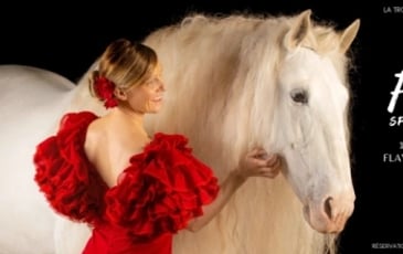 Spectacle équestre : Femmes