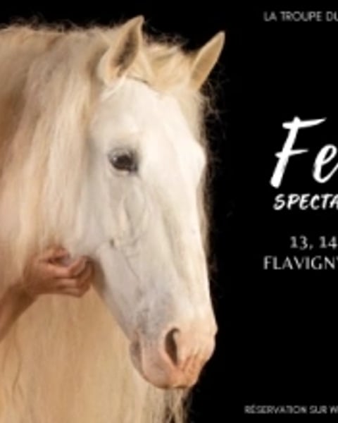 Spectacle équestre : Femmes
