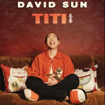 Spectacle, représentation - David Sun - Titi