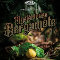 Exposition - Mystérieuse bergamote