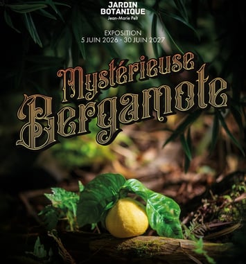 Exposition - Mystérieuse bergamote