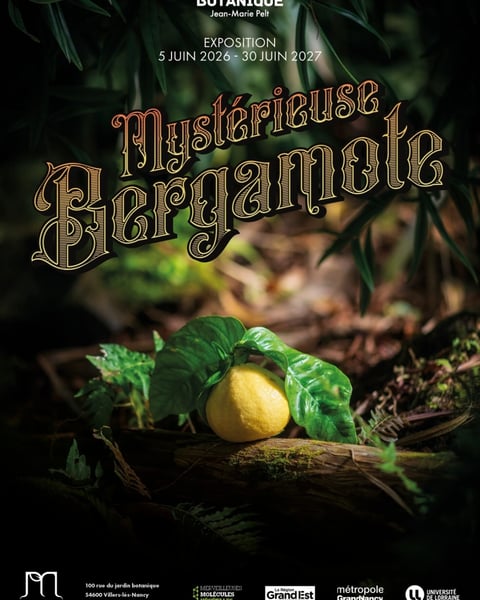 Exposition - Mystérieuse bergamote