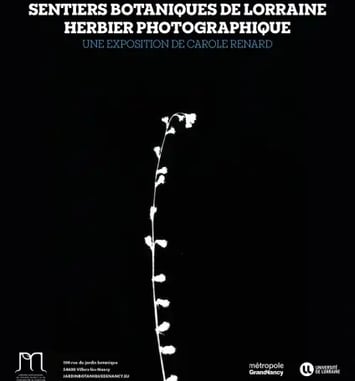 Exposition - Sentiers botaniques de Lorraine